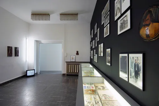 Masist Gül-Berlin Biennale 2008-Schinkel Pavillon
